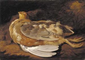 HAUGHTON YOUNGER Moses,A dead grouse, killed on Lord Powis's Hills by J. ,1812,Christie's 2000-11-30