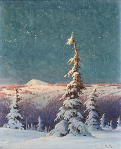 HAUPTMANN Karl 1880-1947,Winternacht im Schwarzwald,Dobiaschofsky CH 2023-11-08