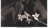 HAUSER V.Tony 1943,Six Orchids with Nudes,1997,Heritage US 2020-12-09