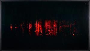 HAUSSWOLFF von Carl Michael 1956,Ur serien Red Night,1999,Stockholms Auktionsverket SE 2021-05-25