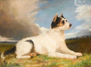 havell george 1800-1800,A Terrier in a landscape,Bonhams GB 2008-02-12