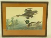 HAVELL Robert I 1769-1832,AUDUBON/WOOD DUCKS,Lewis & Maese US 2019-03-23