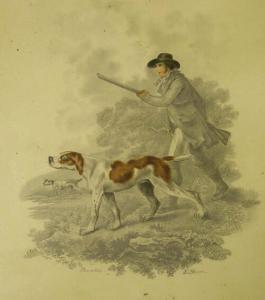 HAW E,Arabian horse and hunter withpointer,Andrew Smith and Son GB 2007-02-20