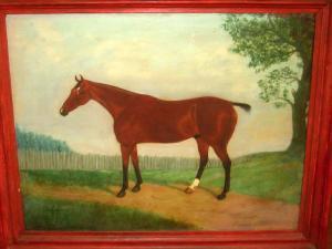 HAWARD W,Study of a Racehorse, in a paddock,Rowley Fine Art Auctioneers GB 2008-11-18