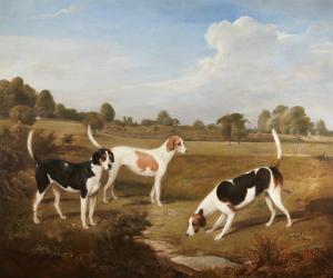 HAWKINS Henry A 1800-1881,Three English Foxhounds in a landscape,Bonhams GB 2014-02-12