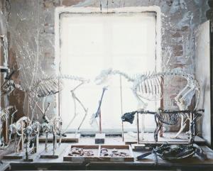 HAYDN O NELLY Erin,Skeletons & Sunlit Cobwebs\” from \“The Richard Wi,Bruun Rasmussen DK 2022-11-08