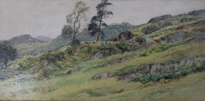 HAYES Frederick William 1848-1918,Capel Curig, North Wales,1875,Hansons GB 2022-07-14