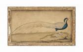 HAYES William 1729-1799,BIRD,Christie's GB 2014-07-15