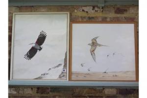 HAYMAN Peter 1930,Birds in flight,Willingham GB 2015-06-20