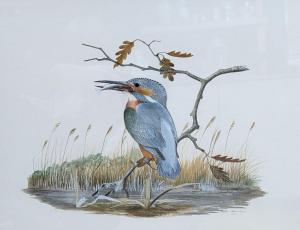 HAYMAN Peter 1930,Kingfisher beside a river,Gorringes GB 2022-01-24
