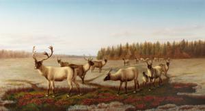 HAYS William Jacob 1830-1875,Caribou,1871,Bonhams GB 2019-02-08