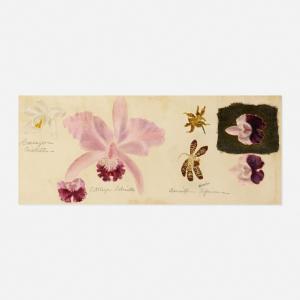 HAYS William Jacob 1830-1875,Four Orchids,Rago Arts and Auction Center US 2021-04-28