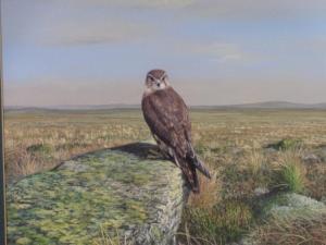 HAYWOOD John Frank 1936-1991,hawk perched on a rock on the Moors,Rogers Jones & Co GB 2021-07-06