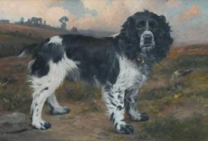 HEAD Hugh Percy 1866-1940,Portrait of a spaniel standing in a landscape,Woolley & Wallis 2024-03-06