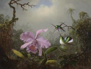 HEADE Martin Johnson,Cattleya Orchid with Two Brazilian Hummingbirds,1871,Christie's 2024-01-18