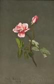 HEADE Martin Johnson 1819-1904,Pink Rose,Skinner US 2015-05-29