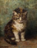HEAPS DENISON,Study of a kitten,Addisons GB 2014-03-08