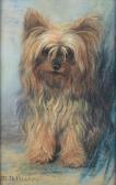 HEAPS Maud D. 1877-1964,A Yorkshire Terrier,Bonhams GB 2011-02-16