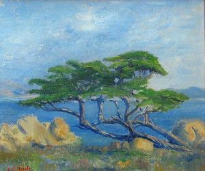 HECHT L.C 1900-1900,Cypress on the coast, Pebble Beach; Monterey Cypress,1928,Bonhams GB 2010-11-21