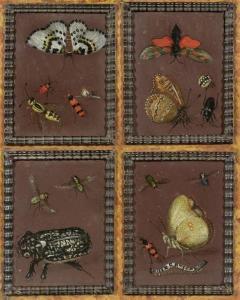 HECKEN MAGDALENA VAN DEN 1615,Four panels with butterflies and insects,Galerie Koller CH 2013-03-18