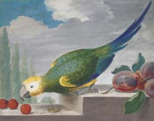 HEFELE J.F,A green parrot on a ledge pecking at cherries, wit,Christie's GB 2004-01-22