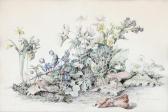 HEILMANN flora 1872-1944,Blooming forest bed,1932,Bruun Rasmussen DK 2024-04-01
