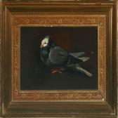 HEINRICH HANSEN Adolf 1859-1925,A pigeon,Bruun Rasmussen DK 2009-05-25