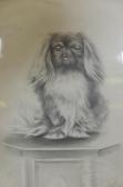 HELLINGS Herbert Wynn 1873-1948,portrait of a Pekinese dog,1917,Crow's Auction Gallery GB 2021-09-15