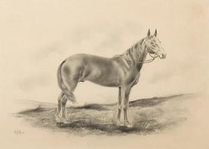 HELLINGS Herbert Wynn 1873-1948,Study of a bridled horse,Bonhams GB 2008-10-30