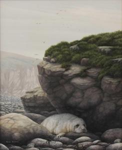 HEMMING Nigel 1957,A seal pup sheltering,Sworders GB 2023-07-11