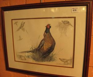 HEMMING Nigel 1957,Cock Pheasant with vignettes of other Pheasants,Peter Francis GB 2014-08-06