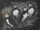 HEMSTOCK Claire,Puffins on Skomer,Shapes Auctioneers & Valuers GB 2012-02-04