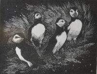 HEMSTOCK Claire,Puffins on Skomer,Shapes Auctioneers & Valuers GB 2012-02-04