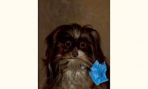 HENARD Henri Joseph,portrait de chien au ruban bleu,Aguttes FR 2005-03-09