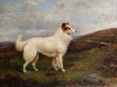 HENDERSON William 1844-1904,'Scott', a collie on a moor,Bonhams GB 2010-03-02