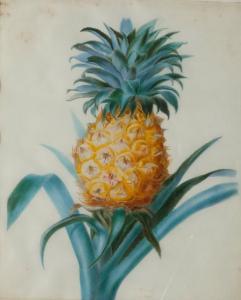 HENNESART 1800-1800,L'ananas,1851,Millon & Associés FR 2015-09-18