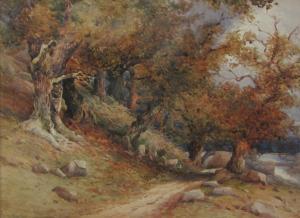 HEPBURN WHYMPER Emily 1833-1886,Woodland Landscape,David Duggleby Limited GB 2016-03-11
