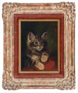 HEPPLE Wilson 1854-1937,Portrait of a tabby kitten,1908,Anderson & Garland GB 2021-09-14