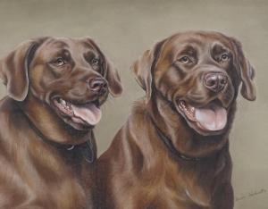 HERBERT Karen,portrait of 2 Labradors,Burstow and Hewett GB 2019-10-16