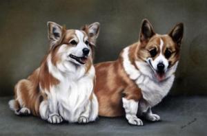 HERBERT Karen,Portrait of two corgis,Gorringes GB 2009-07-01