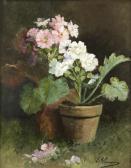 HERMANN E,LES POTS DE FLEURS,Jean-Mark Delvaux FR 2013-04-24