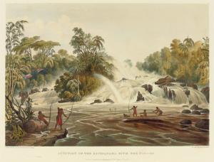 hermann robert 1804-1865,Views in the Interior of Guiana.,1841,Christie's GB 2009-10-15