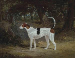 HERRING John Frederick I 1795-1865,A favourite hound,1829,Christie's GB 2011-12-16