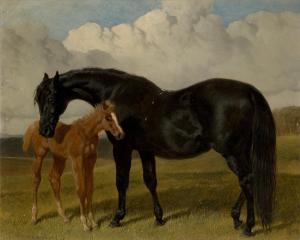 HERRING John Frederick I 1795-1865,A Mare and a Foal in a Landscape,1853,Rosebery's GB 2024-02-27