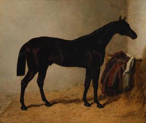 HERRING John Frederick I,Portrait of a horse in a stable, thought to be the,1839,Bonhams 2024-03-13