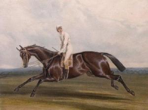 HERRING John Frederick I,Princess - winner of the Oaks Stakes at Epsom 1844,1844,Halls 2012-11-21