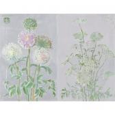 HERTER Adele 1869-1946,allium and queen anne's lace: a pair of paintings,Sotheby's GB 2003-03-05