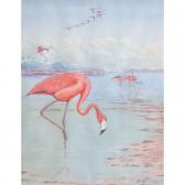 HESS Oscar,Pink Flamingoes,Ro Gallery US 2011-12-13