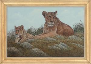 HEYWOOD Donald 1900-1900,A lioness and her cub,Christie's GB 2010-03-02