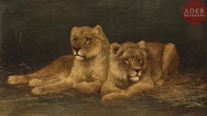 HEYWOOD Tom 1846-1919,Deux lionnes,1913,Ader FR 2018-09-21